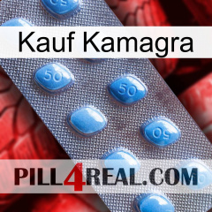 Purchase Kamagra viagra3